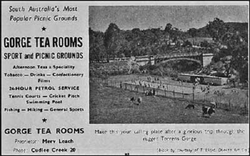 Add for the Tea Rooms