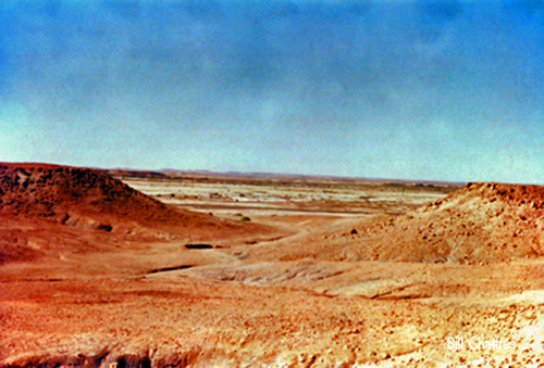 Above Dalhousie H.S. Ruins - July
 1987