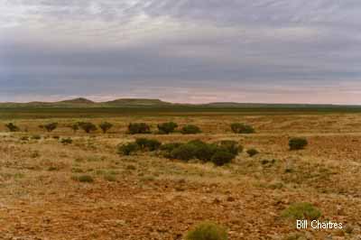 Alternate track to Purnie
 Bore from Dalhousie Springs