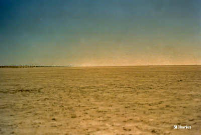 Madgian Gulf - Lake Eyre North