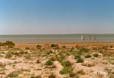 Level Post Bay 
- Lake Eyre