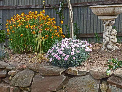 Photo, Our Garden Spring 2015