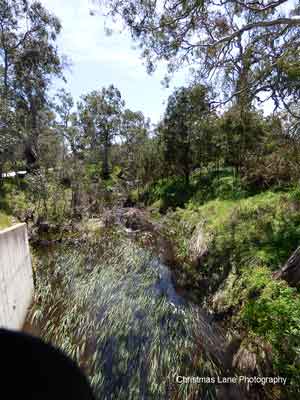 The River Torrens, 
Talunga Park Road, Mount Pleasant