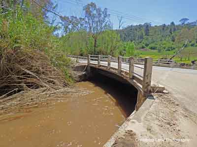 Sixth Creek, flowing into the River Torrens under the Sixth Creek Bridge, 
Gorge Rd., Castambul, SA.