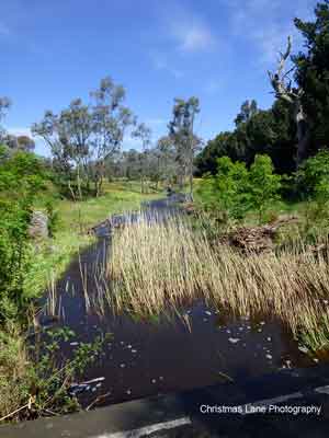 The River Torrens,
 Cromer Road, Mount Pleasant