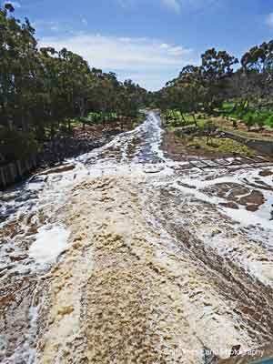 River Torrens, showing the discharge fron the Lake Torrens Weir.