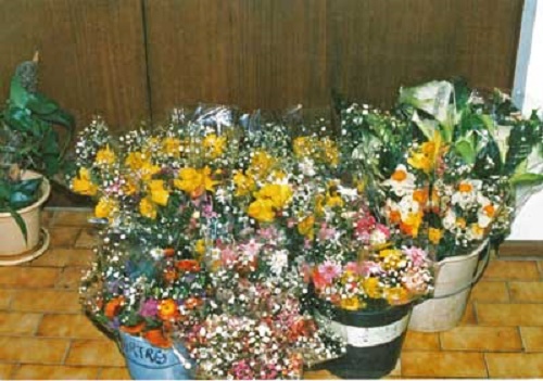 Photo - Flowers ready for market