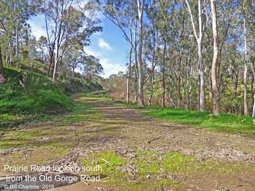 The old Prairie Road